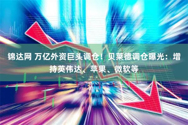 锦达网 万亿外资巨头调仓！贝莱德调仓曝光：增持英伟达、苹果、微软等
