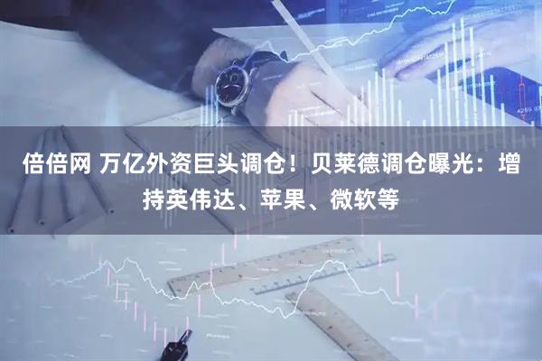 倍倍网 万亿外资巨头调仓！贝莱德调仓曝光：增持英伟达、苹果、微软等