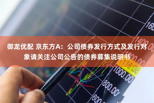 御龙优配 京东方A：公司债券发行方式及发行对象请关注公司公告的债券募集说明书