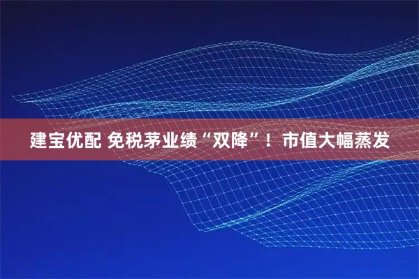 建宝优配 免税茅业绩“双降”！市值大幅蒸发