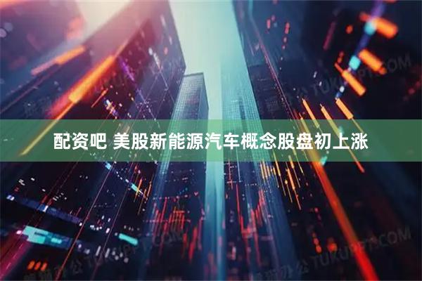 配资吧 美股新能源汽车概念股盘初上涨