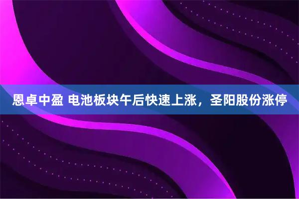 恩卓中盈 电池板块午后快速上涨，圣阳股份涨停