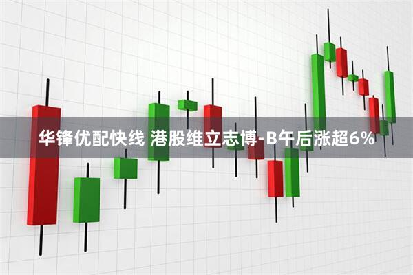 华锋优配快线 港股维立志博-B午后涨超6%