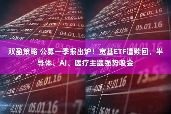 双盈策略 公募一季报出炉！宽基ETF遭赎回，半导体、AI、医疗主题强势吸金