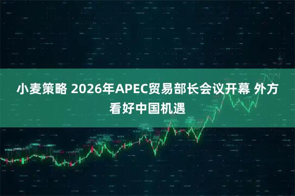 小麦策略 2026年APEC贸易部长会议开幕 外方看好中国机遇