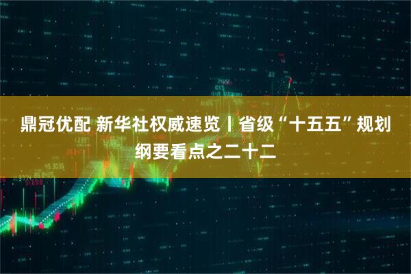 鼎冠优配 新华社权威速览丨省级“十五五”规划纲要看点之二十二