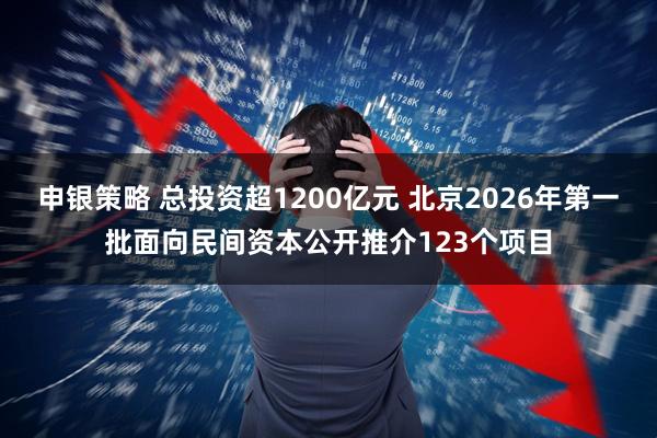 申银策略 总投资超1200亿元 北京2026年第一批面向民间资本公开推介123个项目